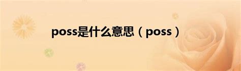 摆美意思|摆个POSS中的POSS是什么意思？？